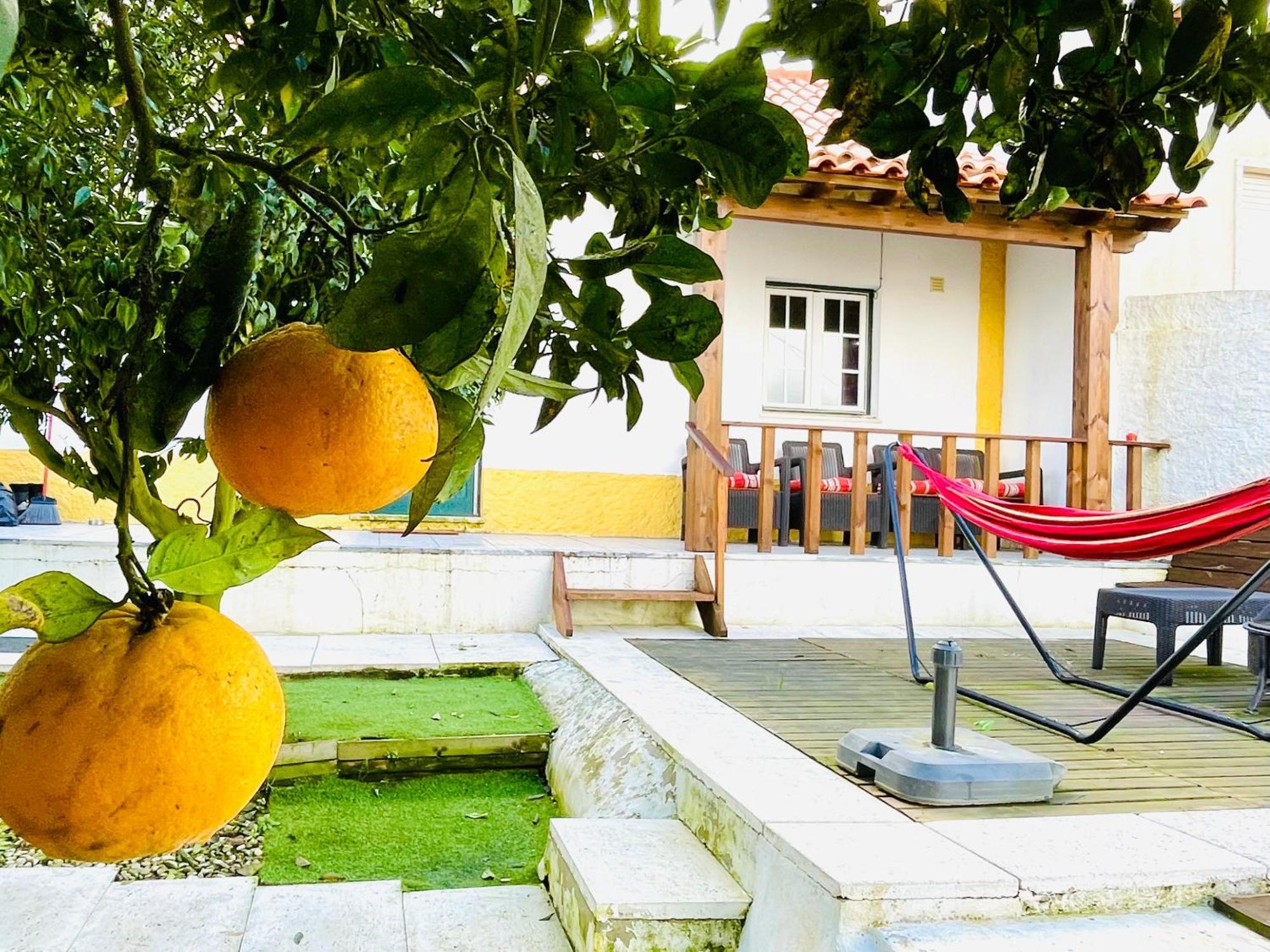 הוילה Vale Covo  Casa Da Laranjeira מראה חיצוני תמונה